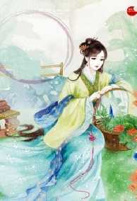 Đinh Mẫn Quân Np Sử