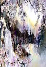 Sự Hồi Sinh Của Cẩm Tú