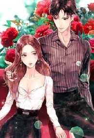 Tường Vi Xinh Đẹp