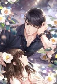 Tổng Tài, Tổng Tài! Tôi Đến Bắt Ngài Đây