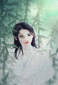 Tình Định Duyên Khởi