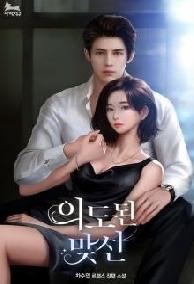 Chúng Ta Nào Phải Mèo Hoang