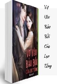Vợ Yêu Bảo Bối Của Lục Tổng