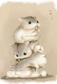 Hamster Nhỏ Nhà Thầy Giáo Tiêu