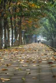 Nắng Cuối Con Đường