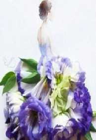 Quay Lại? Sao Có Thể?