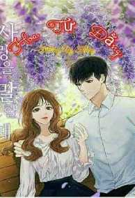 Hoa Tử Đằng - Tường Vy Trắng