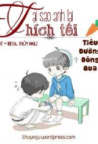 Tại Sao Anh Lại Thích Tôi